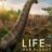 Life on Our Planet : 1.Sezon 4.Bölüm izle