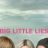 Big Little Lies : 1.Sezon 1.Bölüm izle