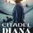 Citadel Diana : 1.Sezon 3.Bölüm izle